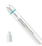 Philips LED Röhre T8 MASTER Value (EM/Mains) High Output 8W 1050lm - 840 Kaltweiß | 60cm - Ersatz für 18W